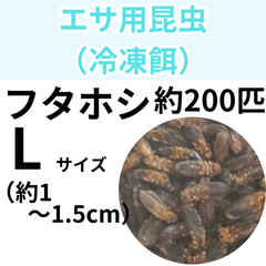 【冷凍餌】 冷凍フタホシコオロギ　Lサイズ　約200匹入り　　爬虫類　両生類　エサ　餌　魚類　哺乳類　レオパードゲッコー　フトアゴヒゲトカゲ　カエル　蛙　トカゲ　ヤモリ　イモリ