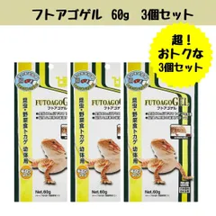 2025年最新】フトアゴゲルの人気アイテム - メルカリ