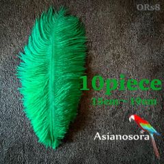 ◾️⭐︎【ORs8緑】10本15-19cm オーストリッチ フェザー 羽根