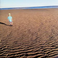 流動体について（大判紙ケース）