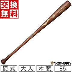 【新品未使用】 ミズノ プロフェッショナル 硬式バット 大人 木製 メイプル 85cm 890g平均 コーヒーブラウン全塗り IS型 1CJWH17602 野球 