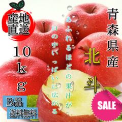 青森県産 北斗 りんご【B品10kg】【送料無料】【農家直送】リンゴ