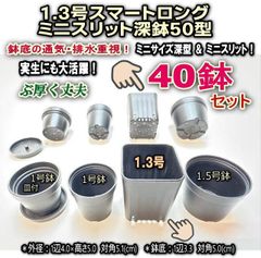 平日＊日中注文即日発送-New!＊小さく深めの1.3号スマートロング-ミニスリット深鉢50型-黒★スリット鉢★ぶ厚い高品質高機能ミニプラ鉢-40鉢＊多肉・塊根植物コーデックス・アガベ・サボテン・ハオルチア・アデニウム・パキポディウム・実生＠フラワーショップ江口
