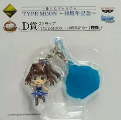 月姫 ぬいぐるみコレクション 蒼崎青子 TYPEMOON 未開封品 Alter FA4 Type-Moon Collection 月姬 Tsukihime Aoko Aozaki 蒼