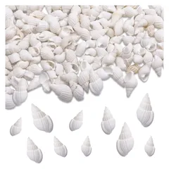 シェルパーツ　100個　巻貝　貝殻　チャーム　レジン　シェル　AP0860