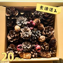 松ぼっくり 詰め合わせ 20個 大きさ 形 いろいろ 煮沸済 クリスマス ハンドメイド リース ツリー