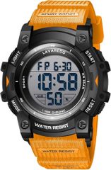 Item thumbnail for item 434a80a5-0cf0-4064-ae50-69af3c457d62