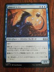MTG】Lorwyn ローウィン 基本土地 20種 日本語 - メルカリ