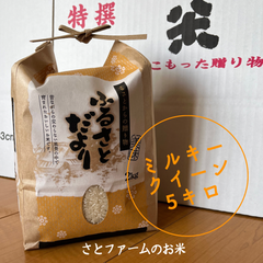 令和6年産　ミルキークイーン　5キロ　80サイズ