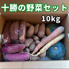 《2点限定価格》お得な野菜セット（無農薬栽培）