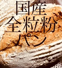 コンプレ50