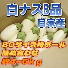 A-STYLE自家産白ナストルコナスとろーり旨なすA品B品MIX80サイズ ショップアカウントではゆうゆうメルカリ便で送れないため沖縄への発送は出来かねます、個人アカウントよりご購入頂けましたら発送可能ですので出品致しましたらそちらよりよろしくお願いいたします