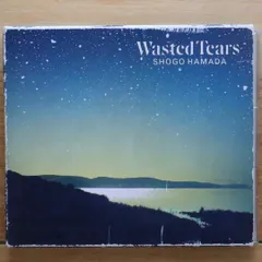 浜田省吾 Wasted Tears LP盤　帯付き　ポストカード無し 浜田省吾 Wasted Tears LP盤帯付きポストカード無し