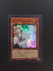 灰流うらら (ハルウララ) 9枚セット ウルトラレア Amazon.co.jp: 遊戯王カード 灰流うらら(ウルトラレア) RARITY