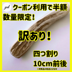 【数量限定】訳アリ　鹿角　北海道産エゾ鹿の角　犬のおもちゃ　鹿の骨　a