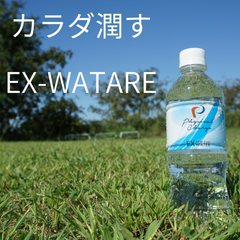 EX-WATER