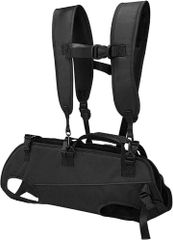 Item thumbnail for item ef6d8a0d-4b50-4c10-9eed-d31d3a3c102a