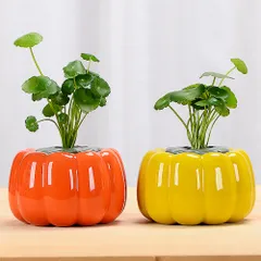 2025年最新】花器 水盤の人気アイテム - メルカリ 2025年最新】花器 水盤の人気アイテム - メルカリ