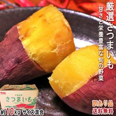 紅はるか・紅あずま・紅ゆうか さつまいも 約10kg 千葉県・茨城県産 訳あり品 濃厚な味と栄養豊富な旬の野菜！甘み溢れる薩摩芋をお届け