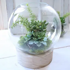 テラリウム風　LED　多肉植物　グリーンプランツ　店舗　ディスプレイ　サロン　開店　365