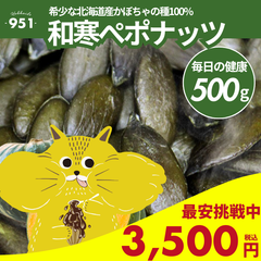 和寒ぺポナッツ 500g  パンプキンシード 送料無料 ミックスナッツ ヒマワリの種 北海道 業務用 ギフト 詰め合わせ お取り寄せ 北海道産 お土産