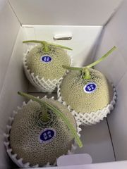 庄内砂丘特産　アンデスメロン　4L3個　家庭用　訳あり