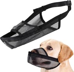 Item thumbnail for item 3e562e8e-099f-4c2c-bd8d-005d582385cf