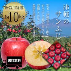 青森県産 ＂ サンふじ ＂ りんご【贈答用特選10kg】【化粧箱】【送料無料】【産地直送】お歳暮 ギフト リンゴ 林檎