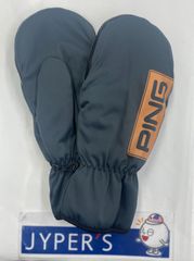 Item thumbnail for item f09a9322-3ff1-46e8-9491-102f7e6477fa