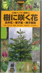 樹に咲く花―合弁花・単子葉・裸子植物 (山渓ハンディ図鑑) (山溪