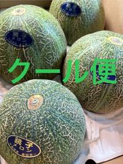 アムスメロン 3Lサイズ 箱込5キロ程度 千葉県産