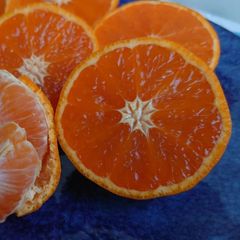 凄く訳あり家庭用伊木力小みかん 🍊カラマンダリン濃厚甘酸っぱくて美味しい♪
