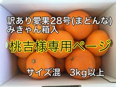 愛果28号(まどんな)