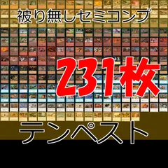 2025年最新】tempest トレカの人気アイテム - メルカリ