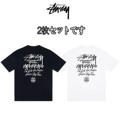 【2枚特価】STUSSY（ステューシー）モダンエイジ Tシャツ  STUSSY Tシャツ STUSSY MODERN AGE TEE メンズ 半袖 男女兼用