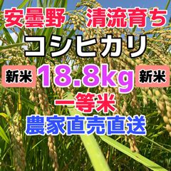 R4年産・新米【コシヒカリ白米18.8kg一等米】安曇野産自家製