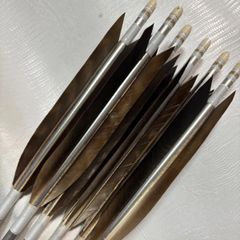 GF1813黒シャフト　磯手羽　6矢　近的矢 近的矢 6矢 - | ブラック送料無料 １９１３