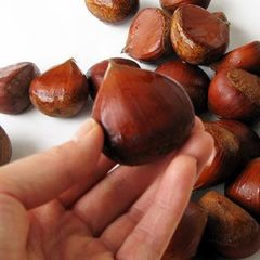 小布施栗１ｋｇ（２L）長野県小布施町産　バラ詰め（燻蒸処理済）１０月中旬頃～