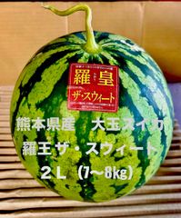 【産地直送・大玉すいか赤果肉・２９日以降発送可】熊本県産　羅皇ザ・スウィート（２L）１玉　正規品　秀品