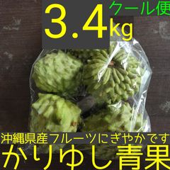 沖縄県産 アテモヤＢ品約3.4kg【クール便】12/13③