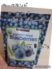 カークランドシグネチャー オーガニック ドライ ブルーベリー 大容量567g