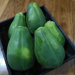 石垣島産 自然栽培 青パパイヤ 3kg