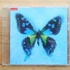 Porno Graffitti ポルノグラフィティ　アゲハ蝶　8センチ8cmCD Porno Graffitti 蝶々ノヲト CD - メルカリ