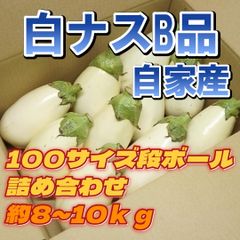 A-STYLE自家産白ナストルコナスとろーり旨なすA品B品MIX100サイズショップアカウントではゆうゆうメルカリ便で送れないため沖縄への発送は出来かねます、個人アカウントよりご購入頂けましたら発送可能ですので出品致しましたらそちらよりよろしくお願いいたします