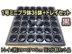 1号鉢ミニプラ鉢トレイ-厚(ハード)＋1号プラ鉢-黒-ミニサイズ36鉢付セット@フラワーショップ江口＊一寸鉢