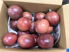 1日数量限定！大人気　沖縄産パッションフルーツ