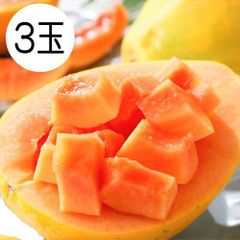 レッドパパイヤ 3玉 濃厚な甘さ フィリピン産 ワンランク上のパパイヤ ３玉