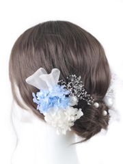 Item thumbnail for item d383115a-a6e2-41c4-b008-6619a49deac5