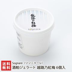 酒粕ジェラート 越路乃紅梅 6個入り