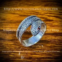 2025年最新】HIDE necromance リングの人気アイテム - メルカリ